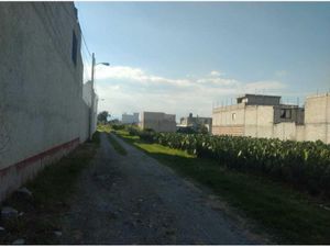 Terreno en Venta en Cuayantla San Andrés Cholula