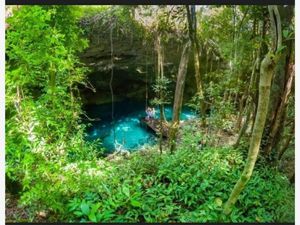 Terreno en Venta en Playa del Carmen Solidaridad