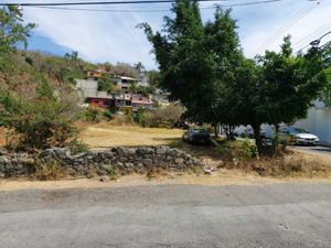 Terreno en Venta en Los Presidentes Temixco