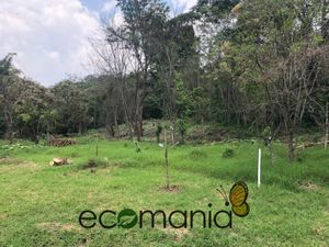 Terreno en Venta en Briones Coatepec