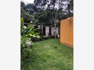 Casa en Venta en Orquídeas Coatepec