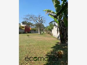 Terreno en Venta en Los Carriles Coatepec