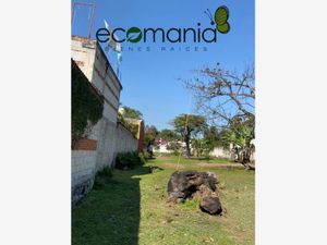 Terreno en Venta en Los Carriles Coatepec