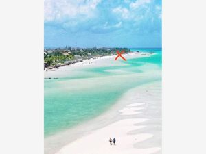 Terreno en Venta en Isla de Holbox Lázaro Cárdenas