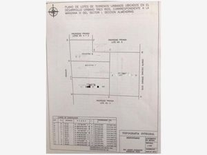 Terreno en Renta en Tres Ríos Culiacán