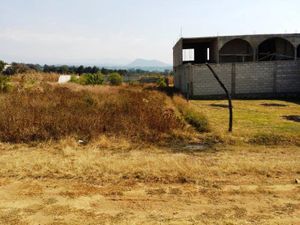 Terreno en Venta en San Diego Tepantongo Atlatlahucan