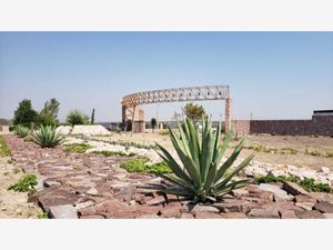 Terreno en Venta en Lagos de Moreno Centro Lagos de Moreno