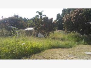 Terreno en Venta en Cuauhtémoc Yautepec