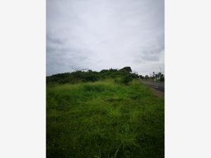 Terreno en Venta en Anton Lizardo Alvarado