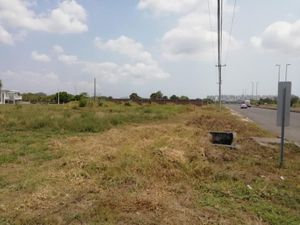 Terreno en Renta en La Gloria Medellín de Bravo