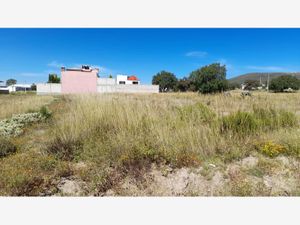 Terreno en Venta en Amaque Mineral de la Reforma