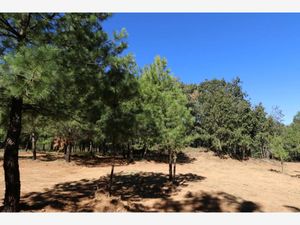 Terreno en Venta en Cuanajo Pátzcuaro