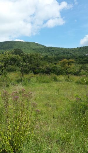 Terreno en venta salida a Quiroga, Morelia, Michoacan