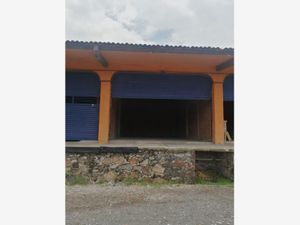 Bodega en Renta en PLAZA CENTENARIO Tequisquiapan