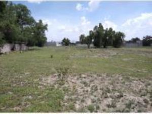 Terreno en Renta en Barrio San Francisco Molonco Nextlalpan