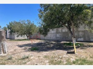 Terreno en Venta en Real del Nogalar Torreón