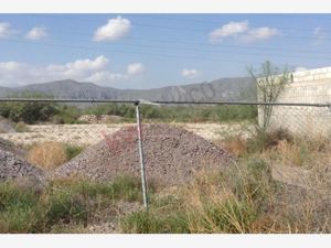 Terreno en Renta en Mieleras [Aeropuerto] Torreón