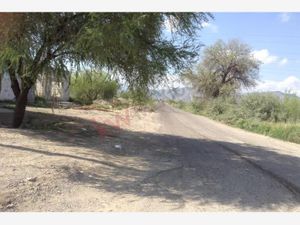 Terreno en Renta en Mieleras [Aeropuerto] Torreón