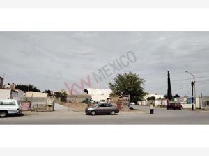 Terreno en Renta en Joyas de Torreón Torreón