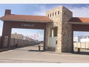 Terreno en Venta en Residencial los Cedros Torreón