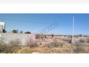 Terreno en Renta en Paso del Aguila Torreón