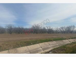 Terreno en Venta en Ciudad Juárez Lerdo