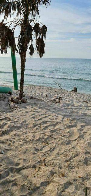 TERRENO DE PLAYA EN VENTA. CARMEN, CAMPECHE.