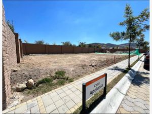 Terreno en Venta en Lomas de Angelópolis San Andrés Cholula