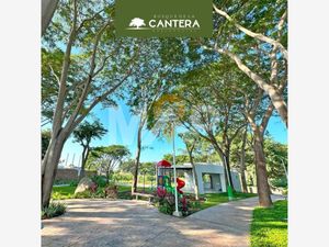 Terreno en Venta en Bosque de la Cantera Colima