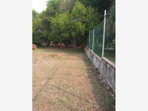 Terreno en Venta en Más Palomas (Valle de Santiago) Monterrey