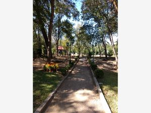 Terreno en Venta en Más Palomas (Valle de Santiago) Monterrey