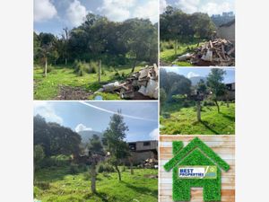 Terreno en Venta en La Escondida Tlalmanalco