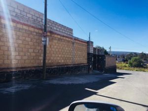 Terreno en Renta en SANTIAGO TEPOPULA Tenango del Aire