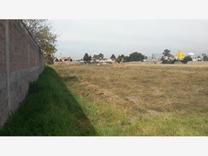 Terreno en Venta en Industrial Chalco Chalco