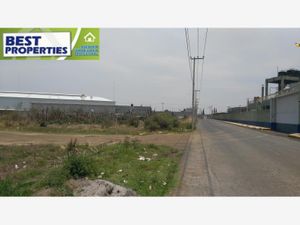 Terreno en Venta en Industrial Chalco Chalco