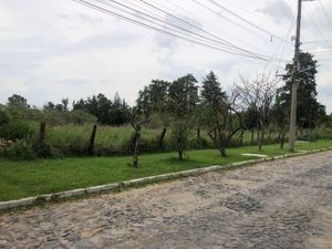 Terreno en Venta en El Triangulo Zapopan