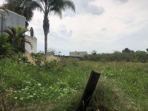 Terreno en Venta en El Triangulo Zapopan