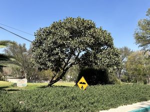 Terreno en Venta en San Marcos Tula de Allende