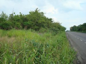 Terreno en Venta en Tierra Blanca Centro Tierra Blanca