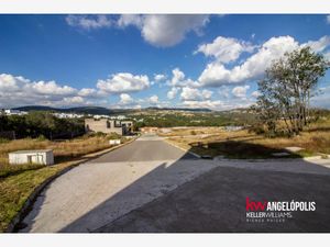 Terreno en Venta en Campestre Haras Amozoc