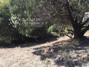 Terreno en Venta en Ahuatlán Tzompantle Cuernavaca