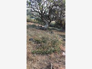 Terreno en Venta en Chichco (Chisco) Tepoztlán