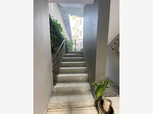 Departamento en Venta en Lomas de Tzompantle Cuernavaca