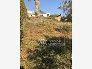 Terreno en Venta en Lomas de Atzingo Cuernavaca