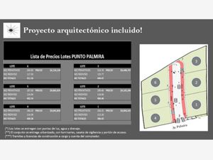 Terreno en Venta en Palmira Tinguindin Cuernavaca