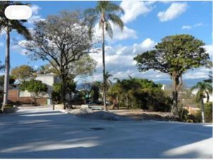 Terreno en Venta en Palmira Tinguindin Cuernavaca