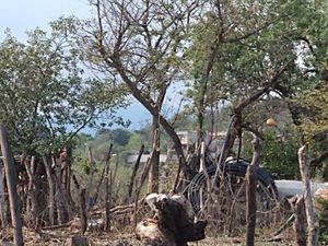 Terreno en Venta en Chichco (Chisco) Tepoztlán