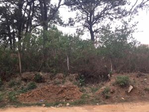 Terreno en Venta en Lomas de Tzompantle Cuernavaca