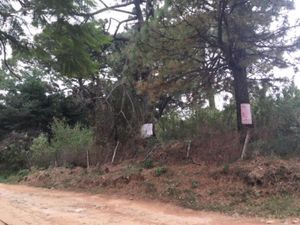 Terreno en Venta en Lomas de Tzompantle Cuernavaca