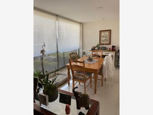 Casa en Venta en San Mateo Tlaltenango Cuajimalpa de Morelos